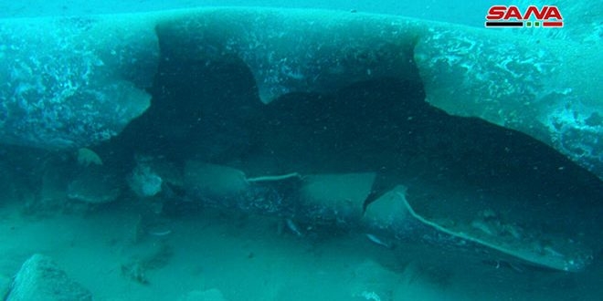 Bombs Damage a Syrian Underwater Oil Facility
