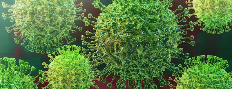 Saudi Arabia and UAE Stopped Reporting Their Coronavirus Infections